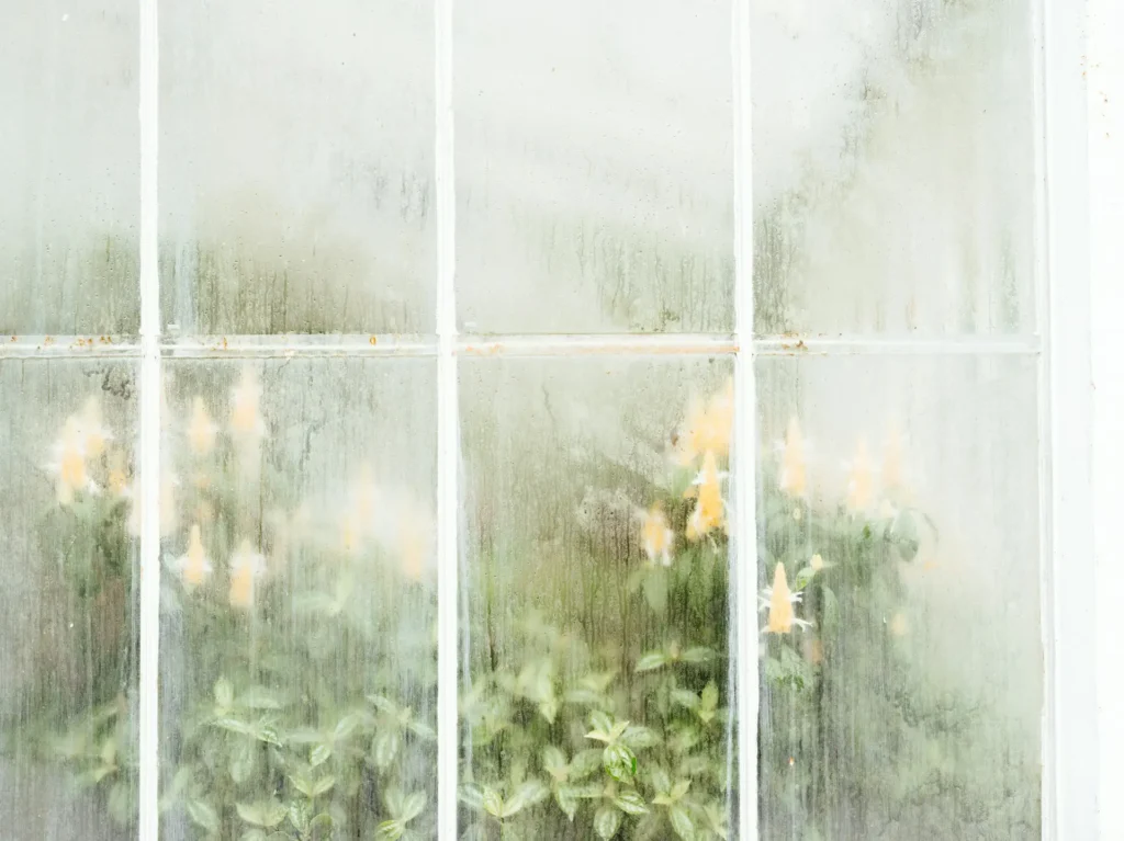 Why Are My Windows Foggy? A Guide to Failed Glass Seals in DFW