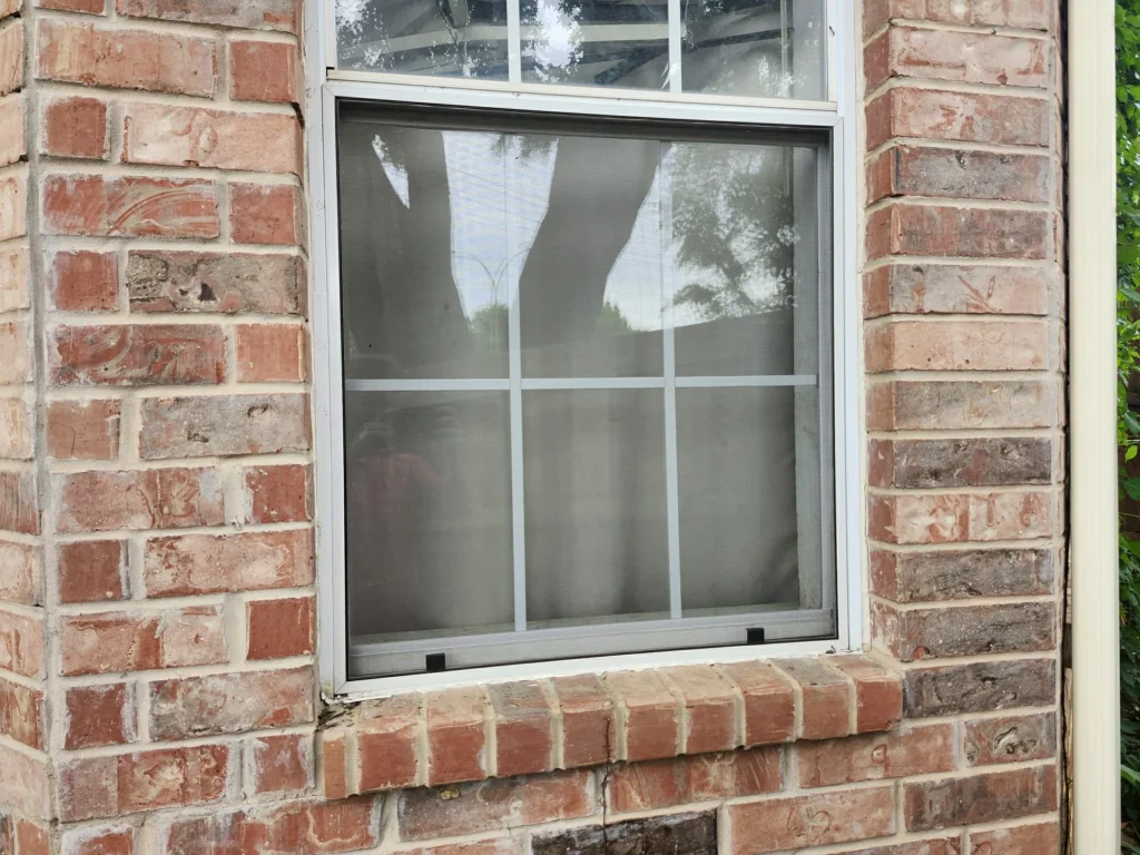 Glass Upgrades to Keep Your Pets Safer