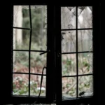 Storm Damaged Windows in Dallas-Fort Worth: What to Do Immediately