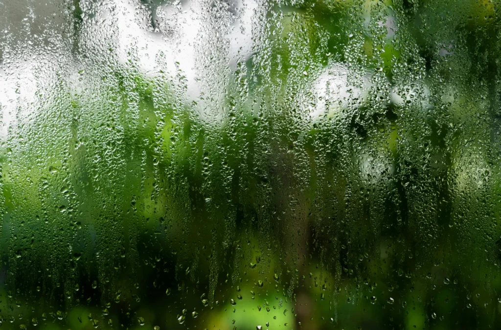 Why Condensation Forms on Windows in DFW (And When It’s a Problem)