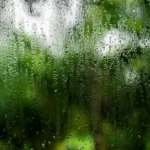Why Condensation Forms on Windows in DFW (And When It’s a Problem)