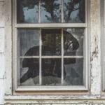 Emergency Glass Repair Dallas: Broken Windows, Doors, Storefronts, and Board Up